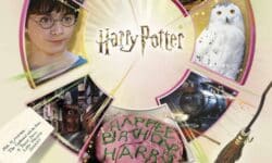 Concorra a 3 viagens ao parque de Harry Potter e centenas no prêmios com a Promoção de Aniversário